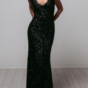 Embellished Sequined Tulle Gown